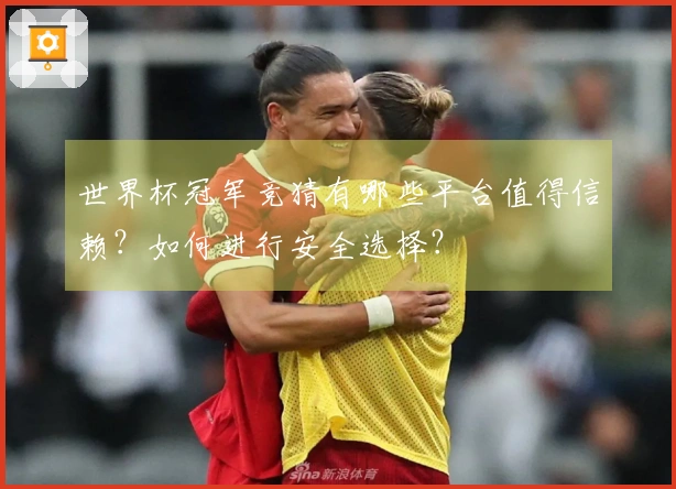 世界杯冠军竞猜有哪些平台值得信赖？如何进行安全选择？