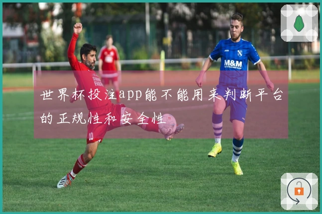 世界杯投注app能不能用来判断平台的正规性和安全性
